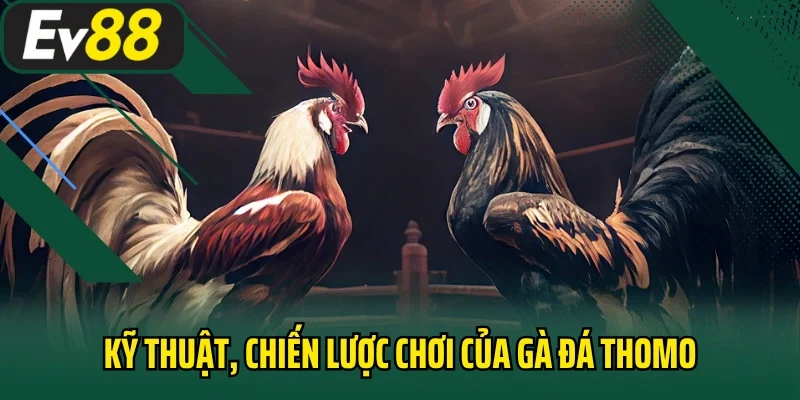 Kỹ thuật, chiến lược chơi của gà đá Thomo