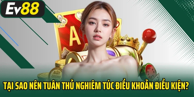 Tại sao nên tuân thủ nghiêm túc điều khoản điều kiện?