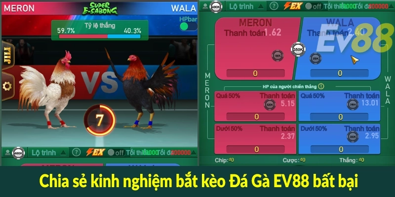 Chia sẻ kinh nghiệm bắt kèo Đá Gà EV88 bất bại