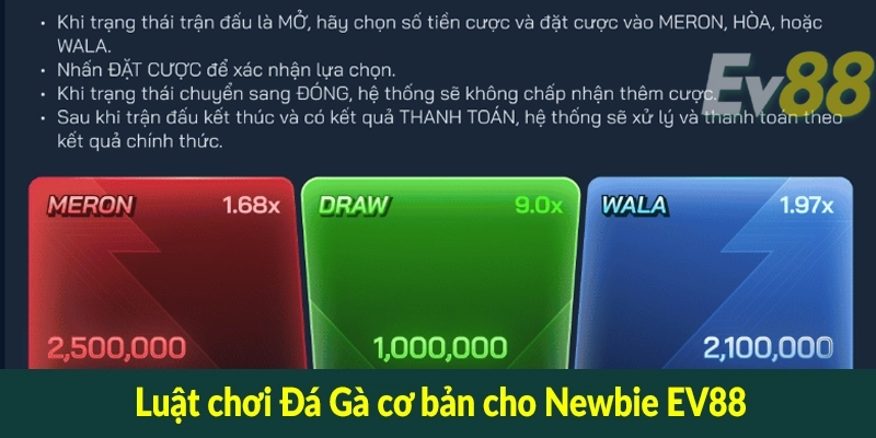 Luật chơi Đá Gà cơ bản cho Newbie EV88