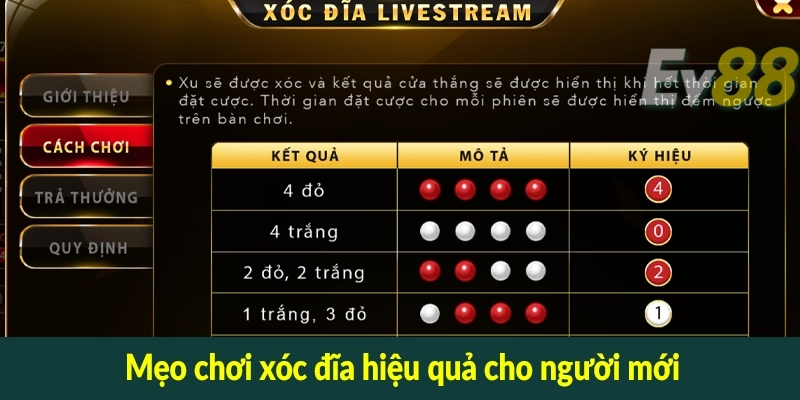 Mẹo chơi xóc đĩa hiệu quả cho người mới