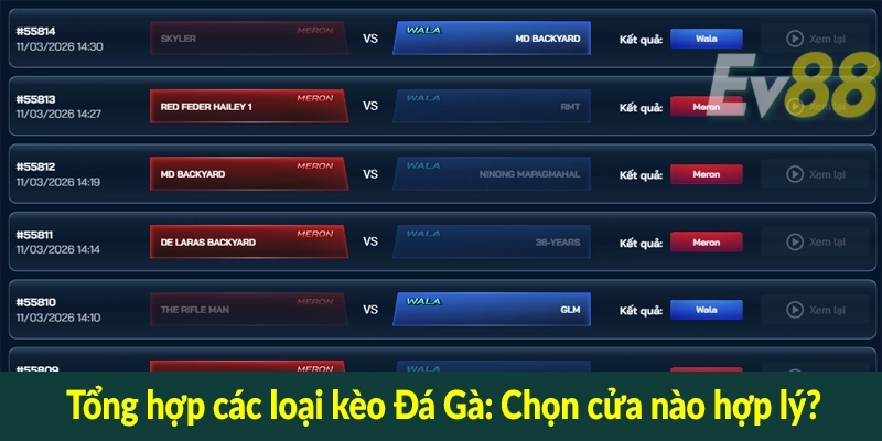 Tổng hợp các loại kèo Đá Gà: Chọn cửa nào hợp lý?